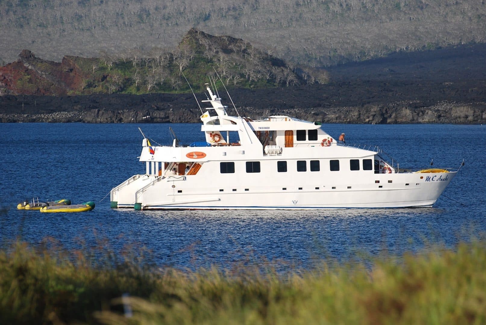 Anahi - Main View