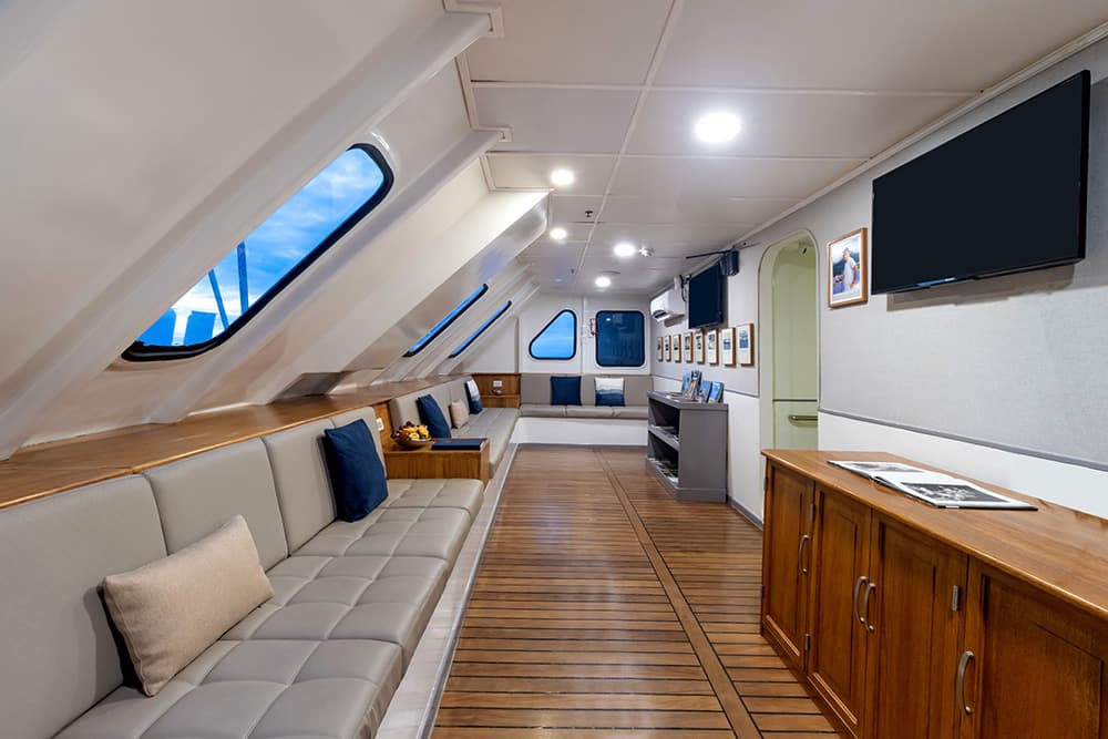 M/C Tip Top II - Interior View