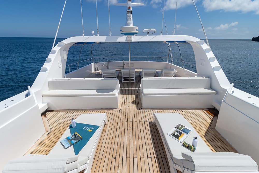 Tip Top IV - Interior View