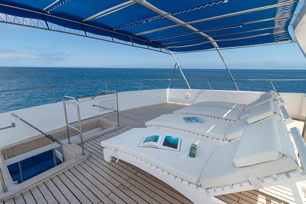 Tip Top IV - Interior View