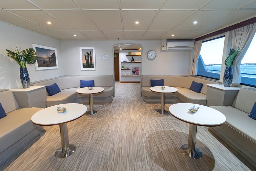 Tip Top V - Interior View