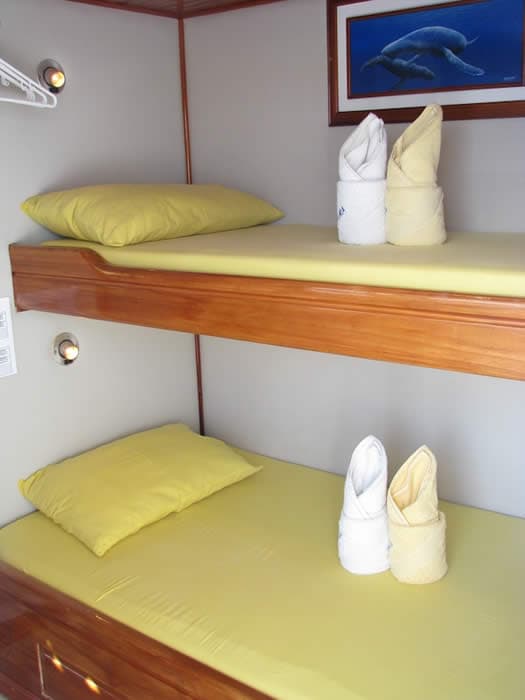 Upper deck Cabin