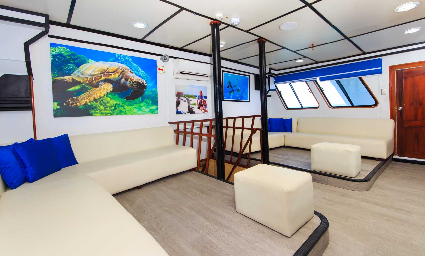 Yolita II - Interior View