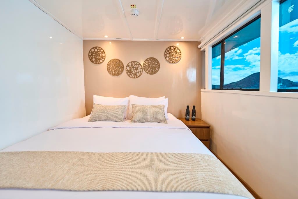 Matrimonial/Twin Cabin Upper Deck  - View 2