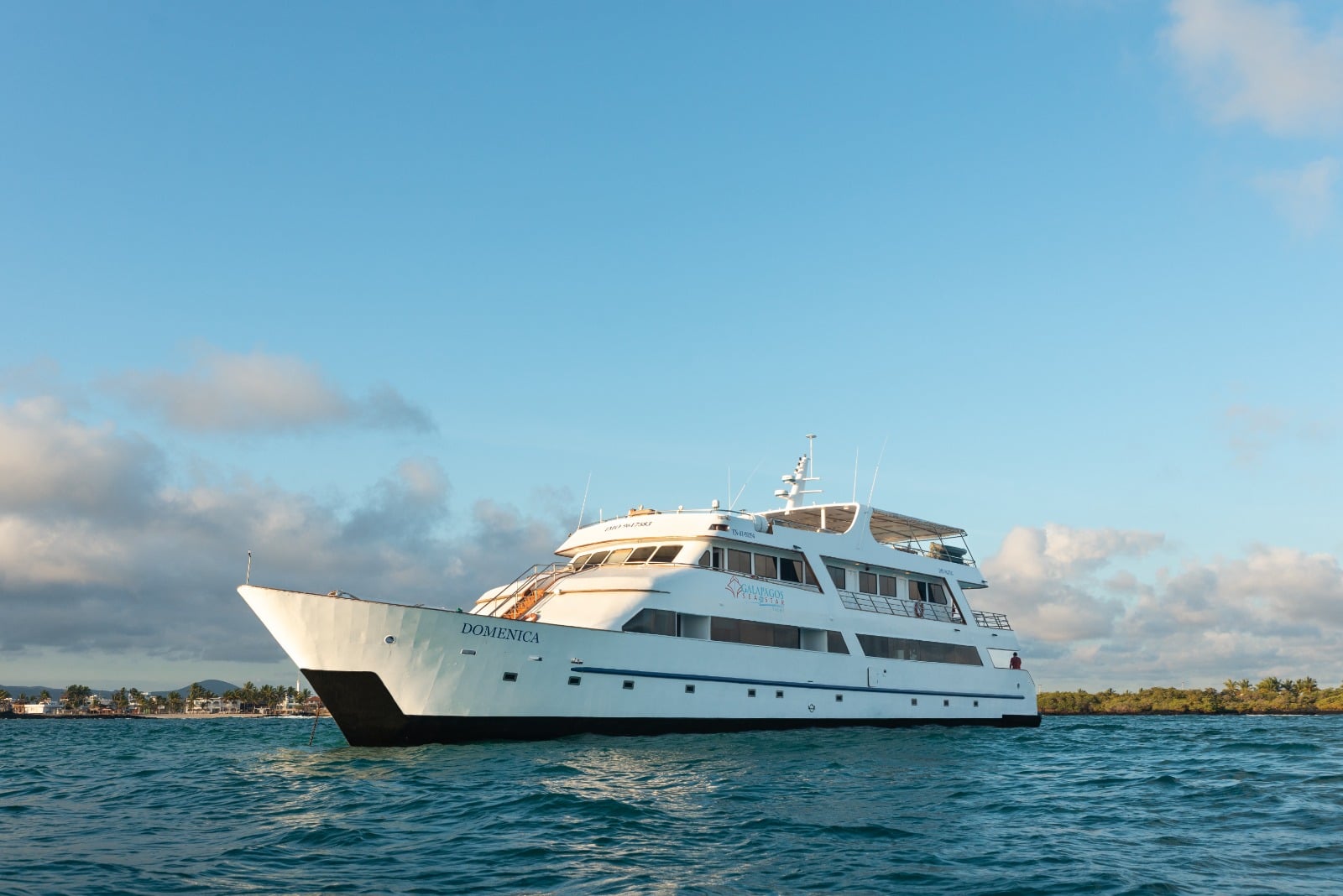 Sea Star - Main View