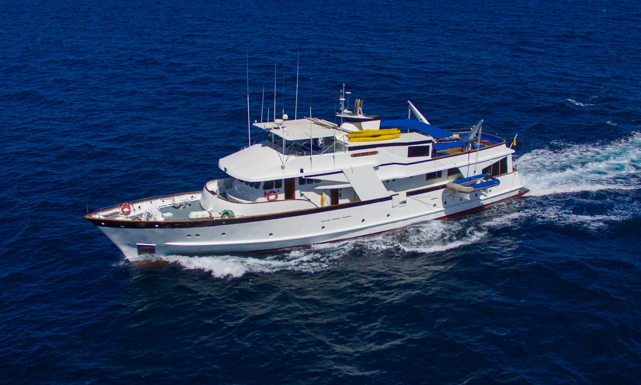 Beluga - Main View