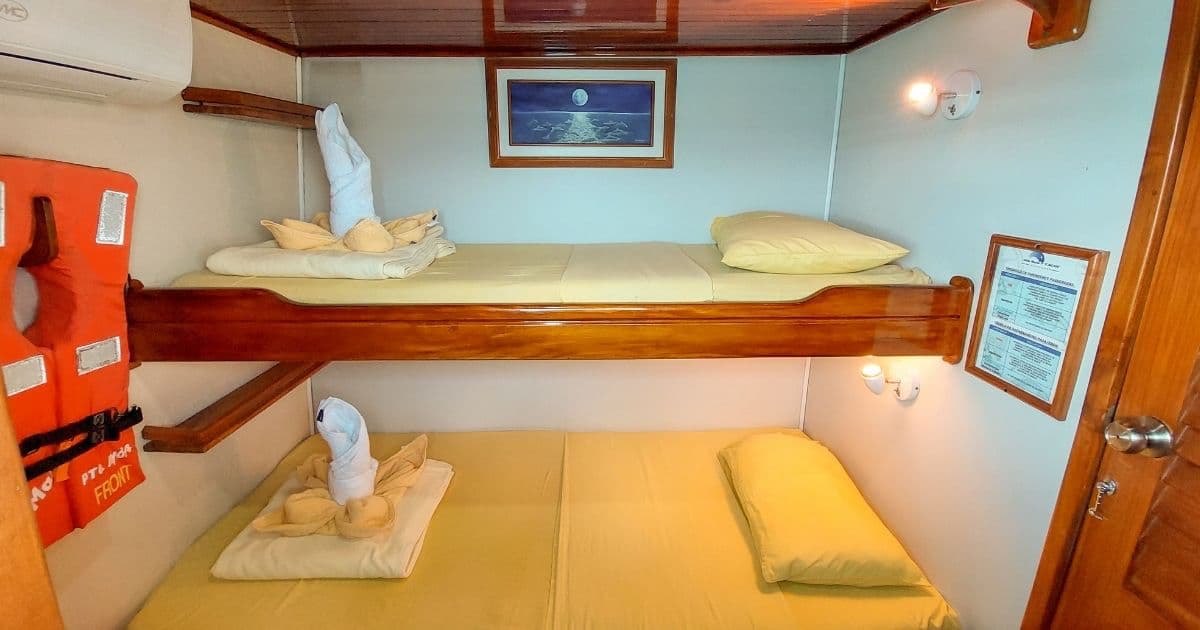 Main deck