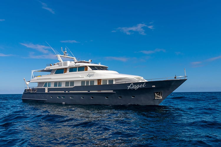 Galapagos Angel - Main View