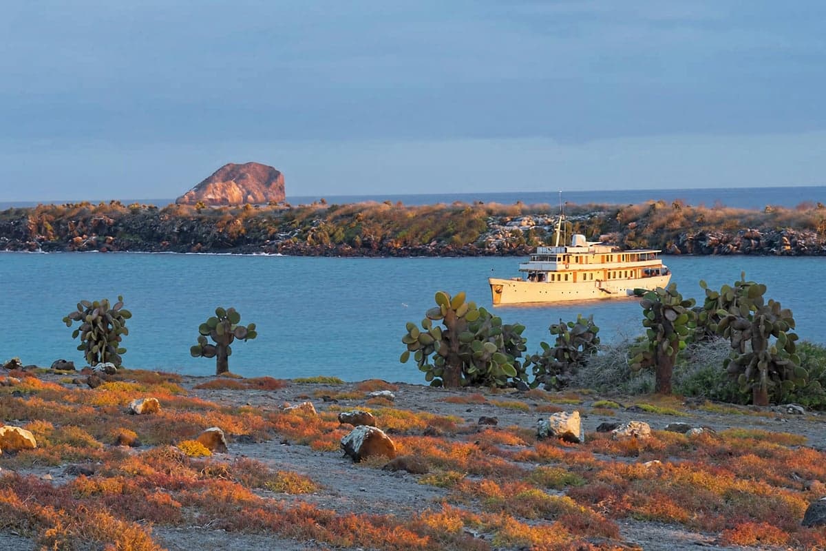 How to Choose the Right Galapagos Cruise Ship