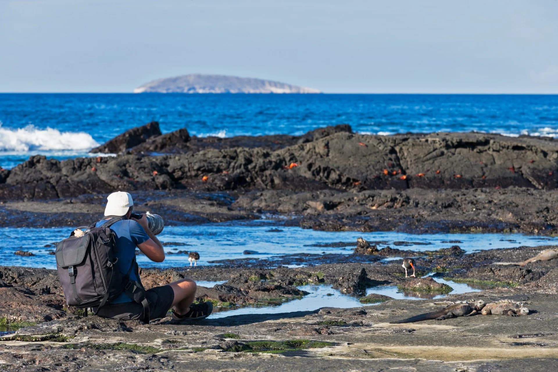 Last-Minute Galapagos Cruise Deals: How They Actually Work