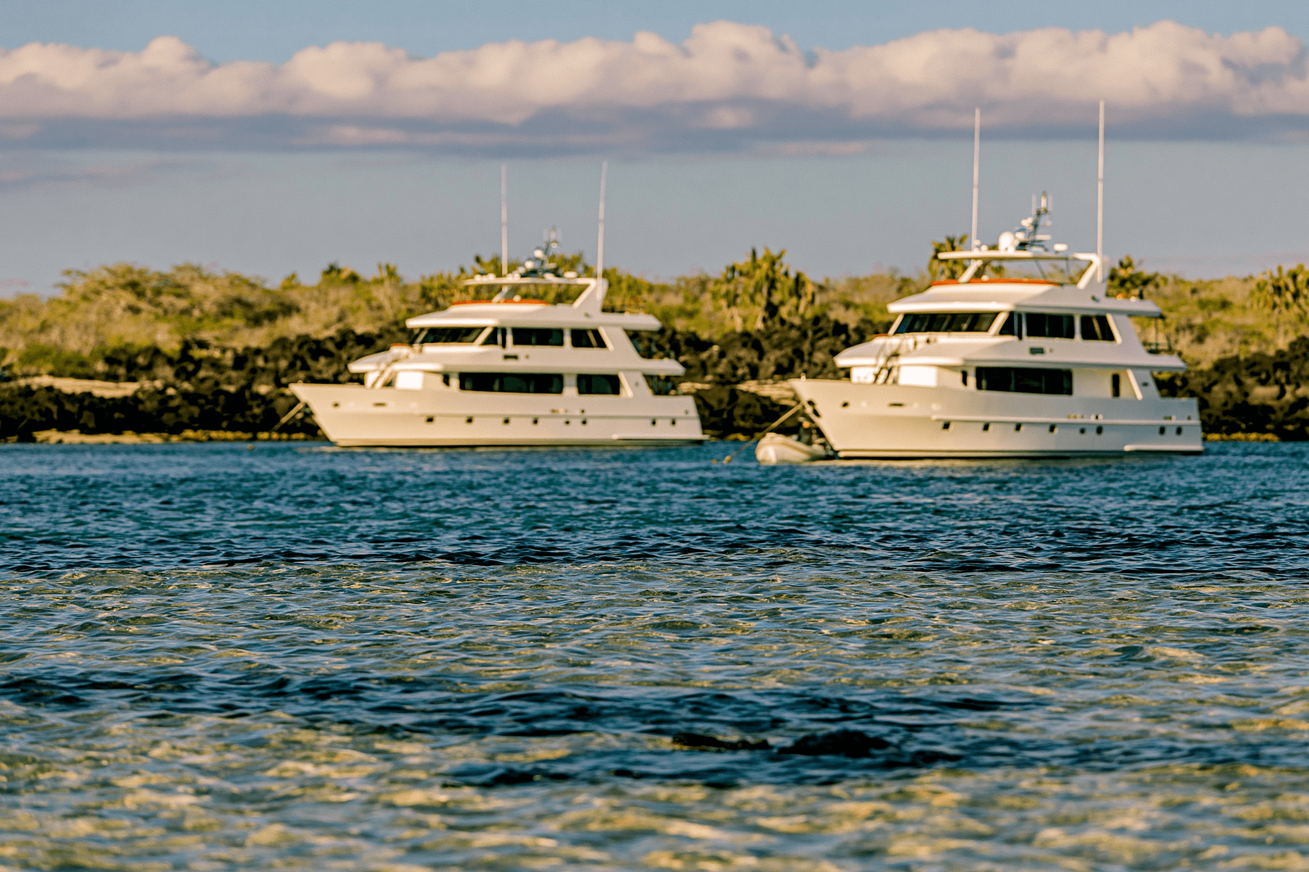 Two Galápagos motor yachts at anchor on the turquoise shallows, viewed from the water with mangrove-fringed shore behind.