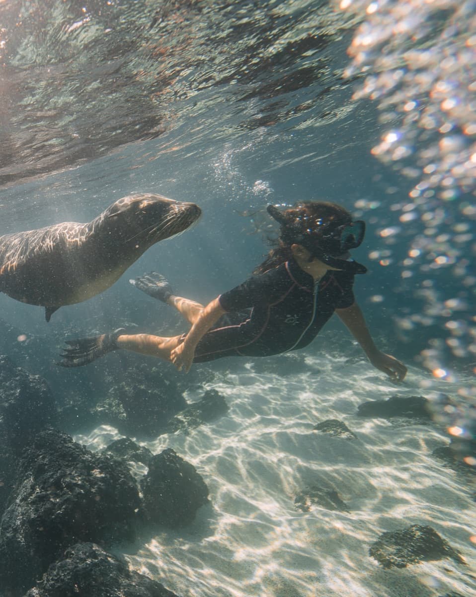 A family with two children watching sea lions on a beach during a Galapagos cruise landing.