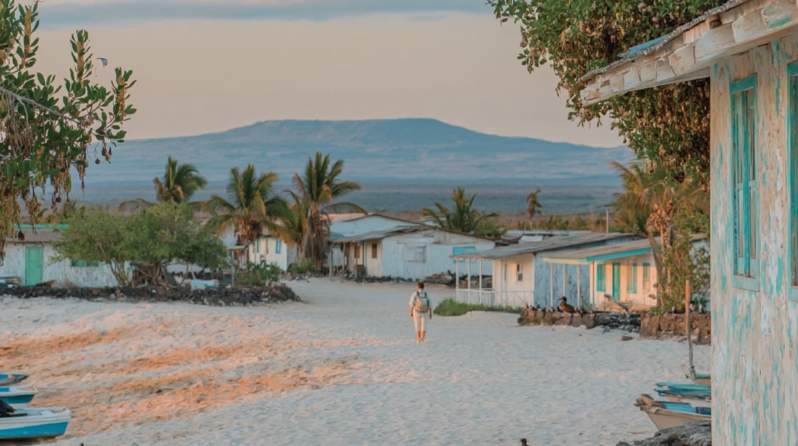 A small expedition ship anchored offshore from a Galapagos town, with a hotel rooftop visible on land — the hybrid trip.