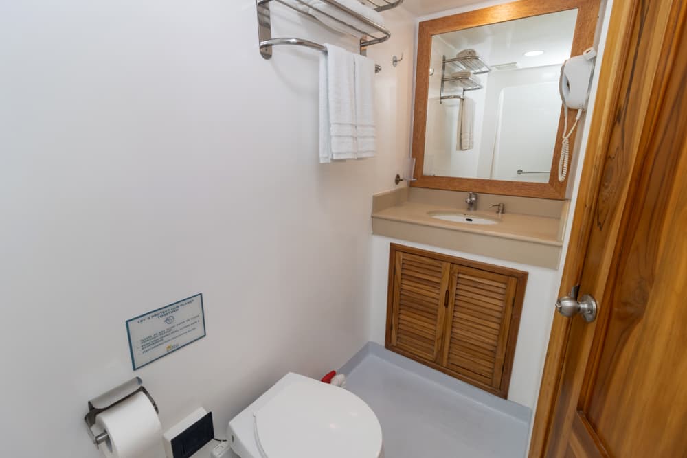 Upper Deck Cabin