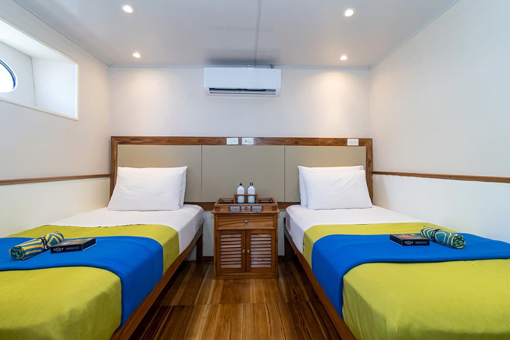 Lower Deck Cabin