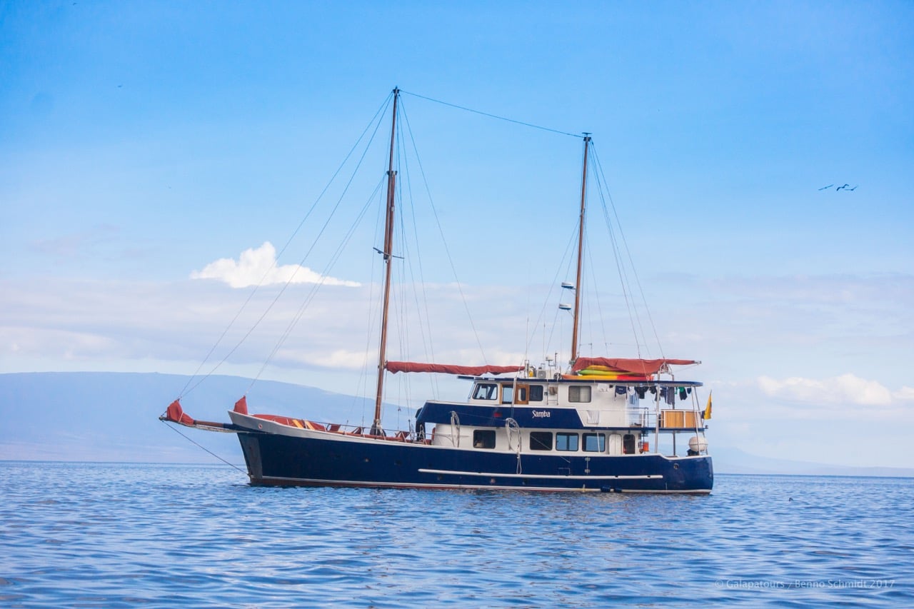 Samba - Main View