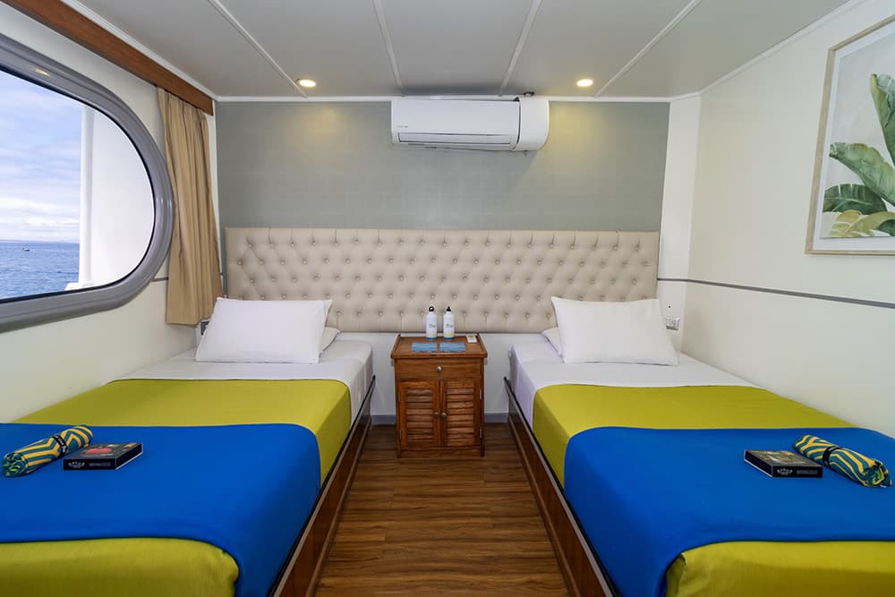Upper deck Cabin